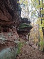 Wanderung Lindelbrunn Nov 2025